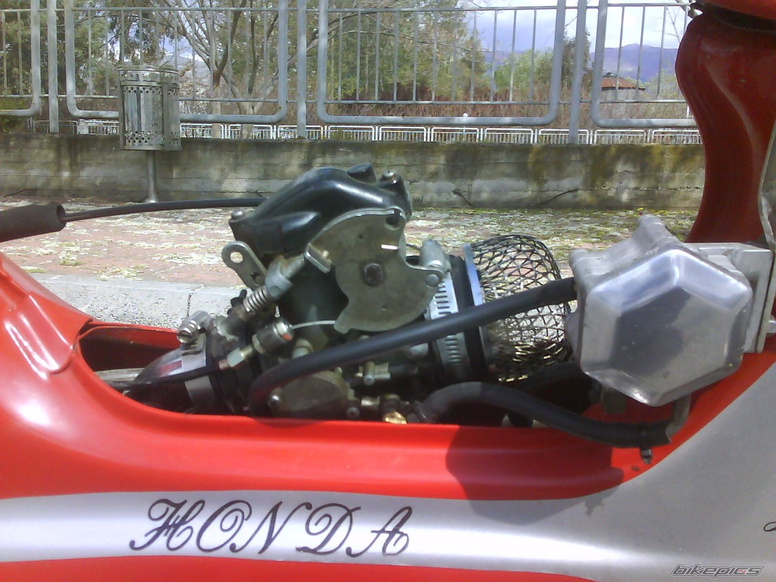Photo 1259695