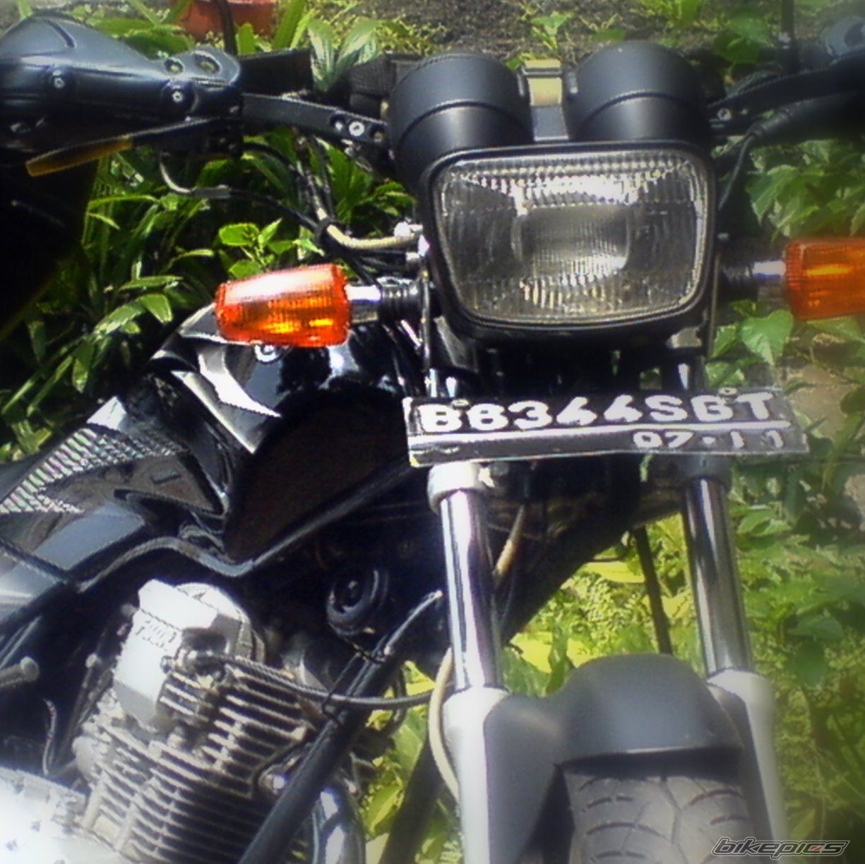 Photo 1259697