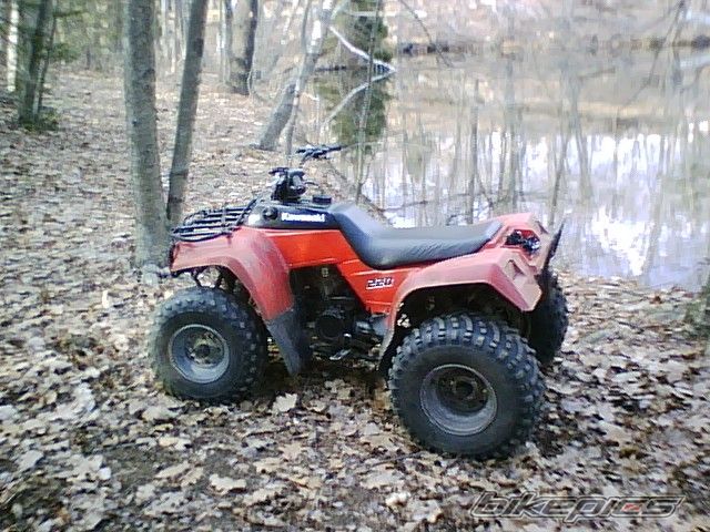 Photo 1259734