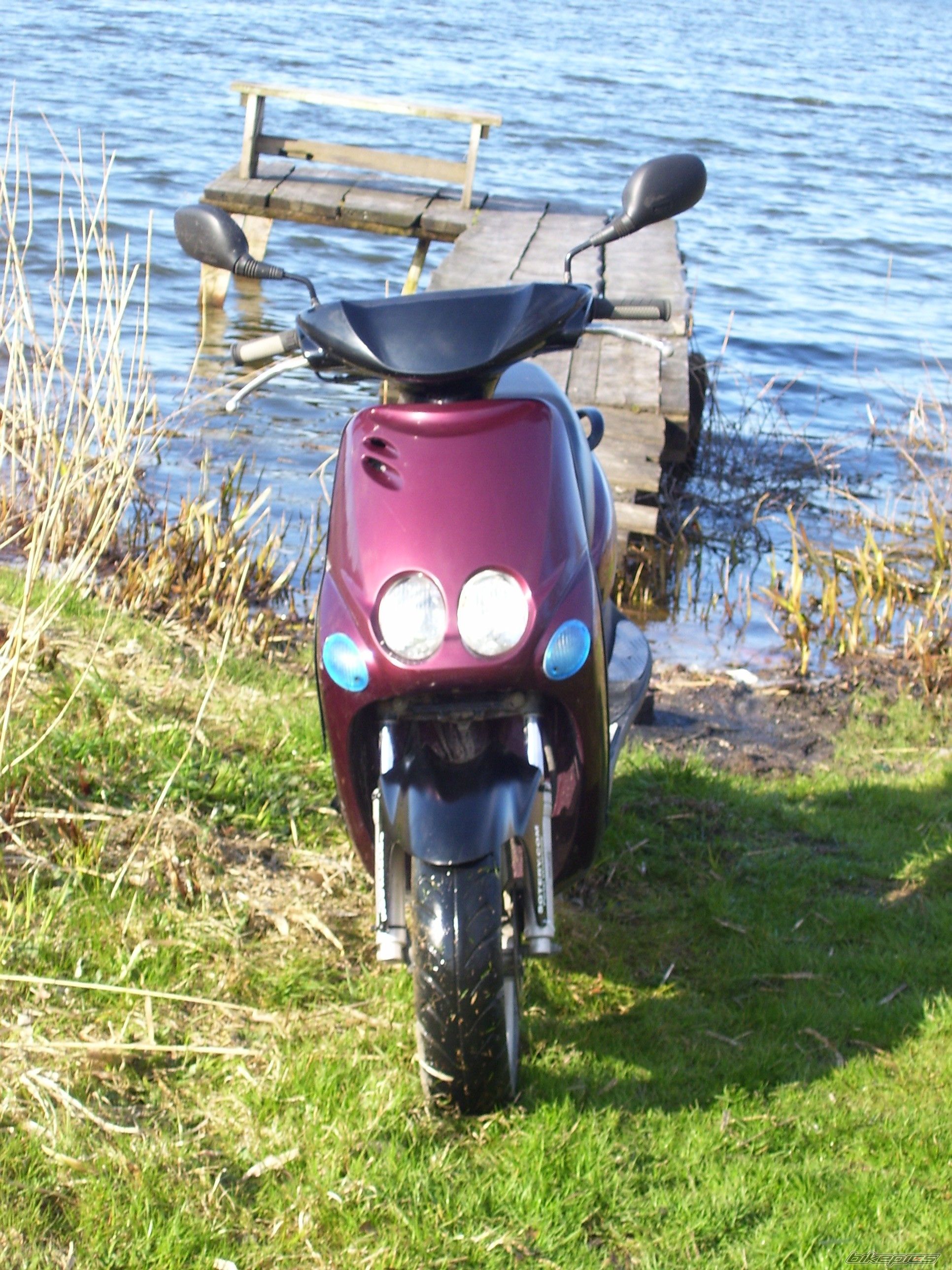 Photo 1259931