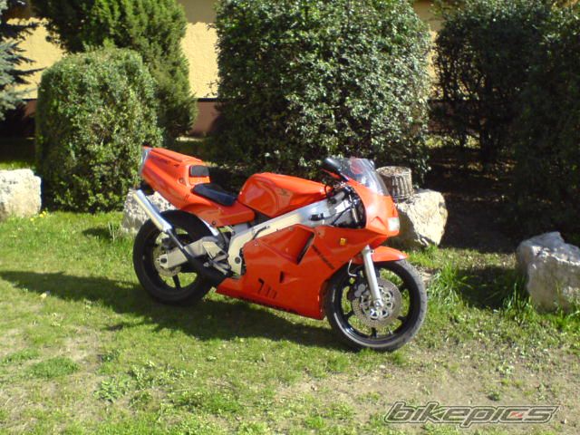 Photo 1259969