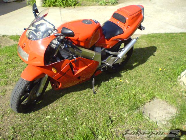 Photo 1259977