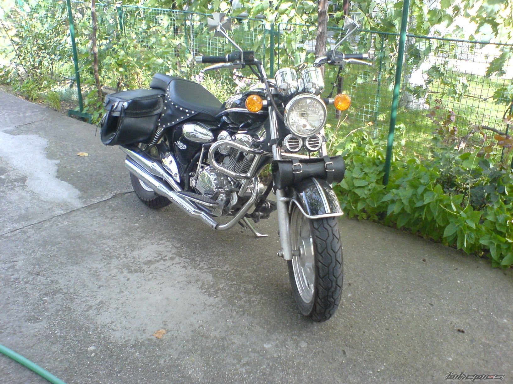 Photo 1259989