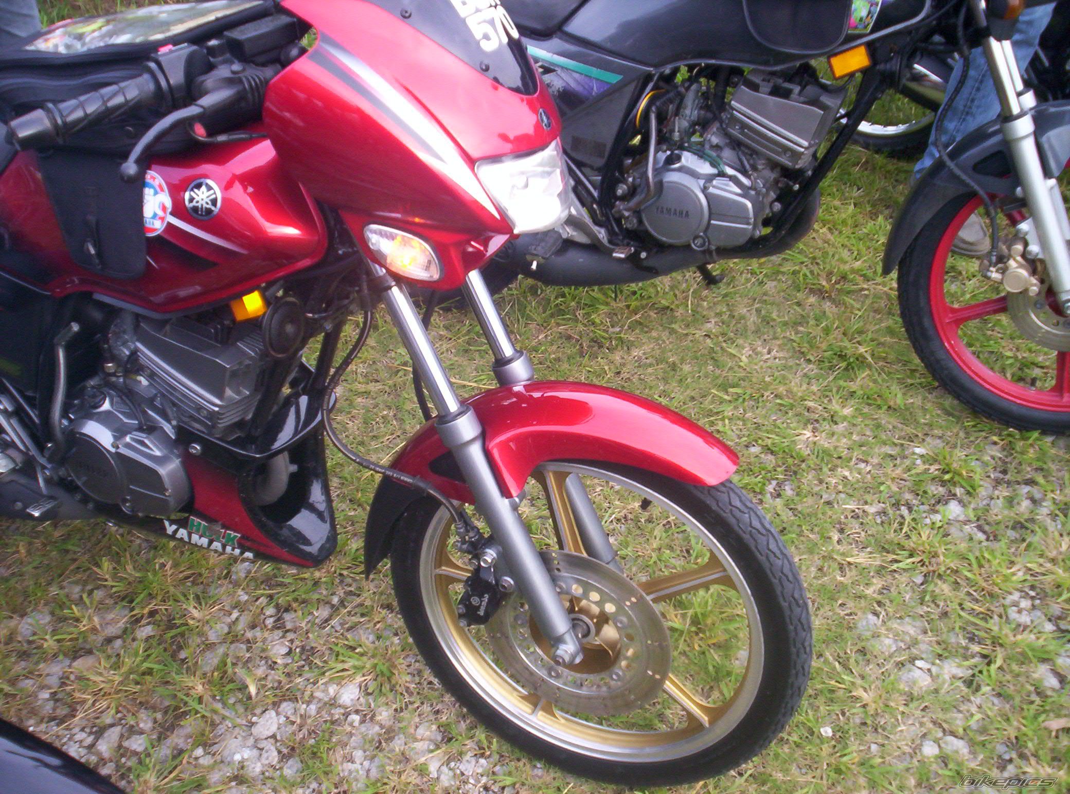 Photo 1260065