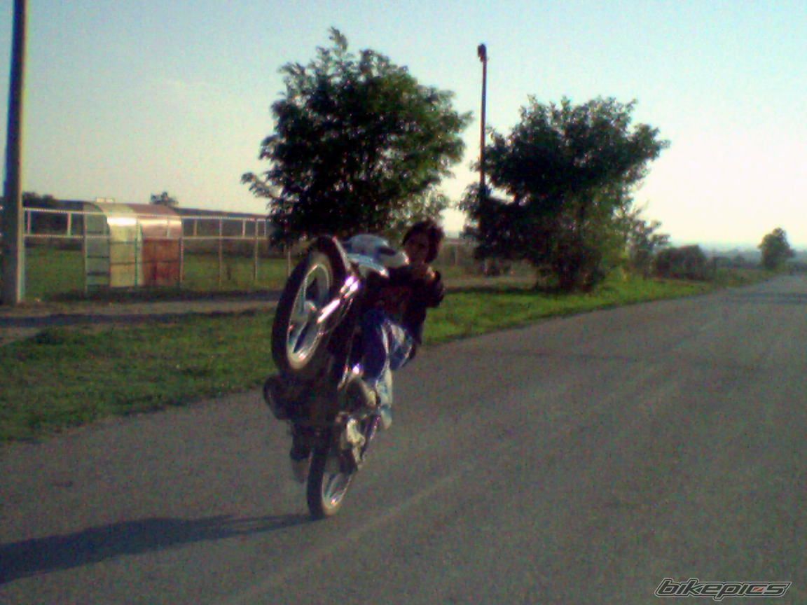 Photo 1260172