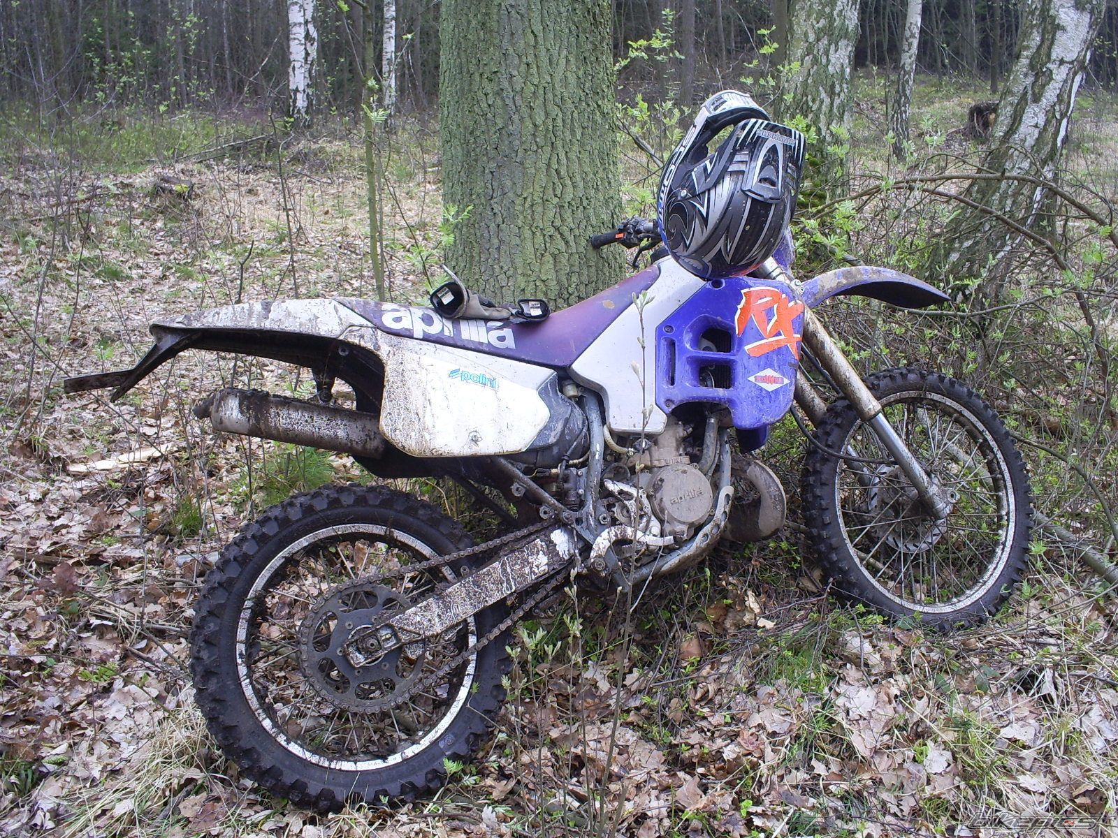Photo 1260190