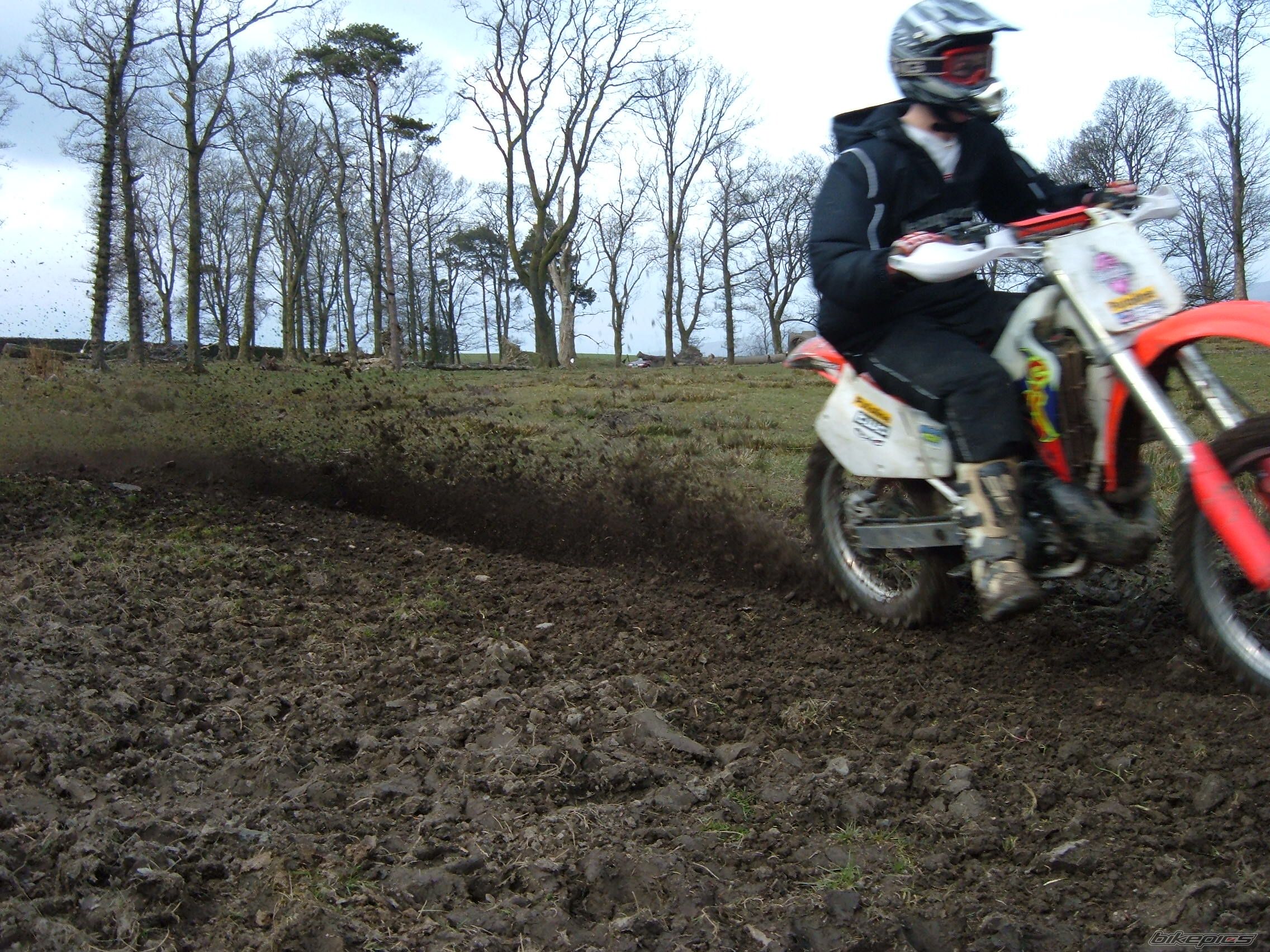 Photo 1260216
