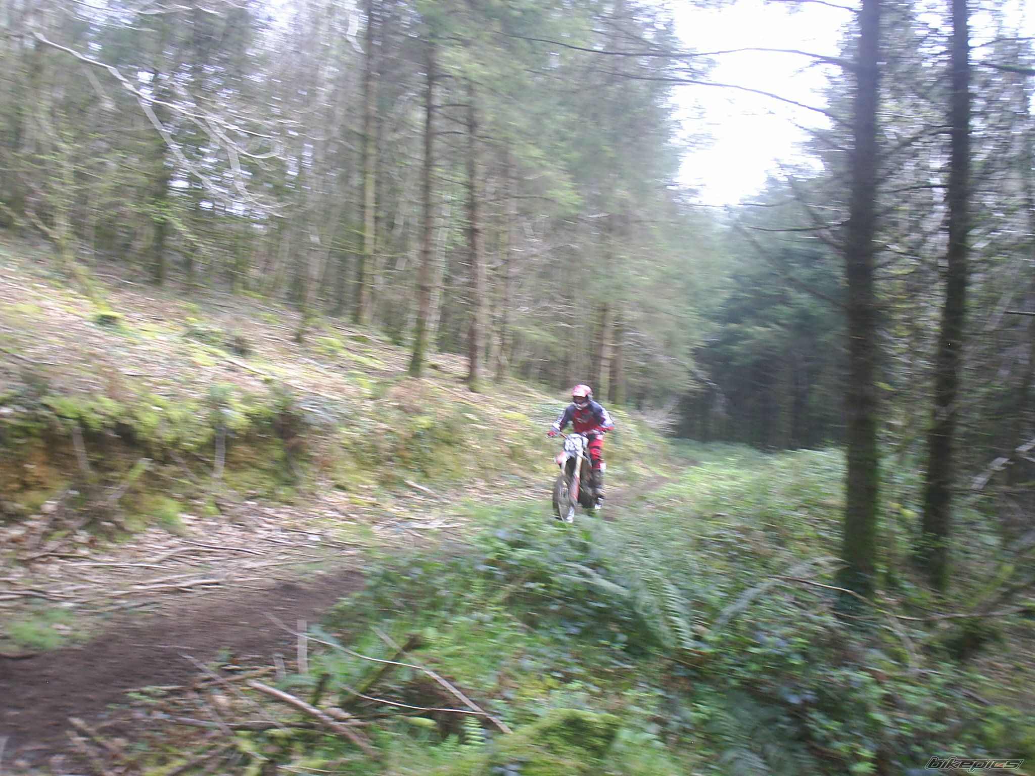 Photo 1260231