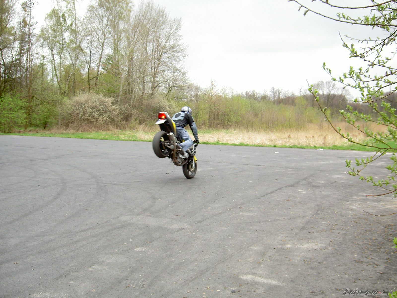 Photo 1260261