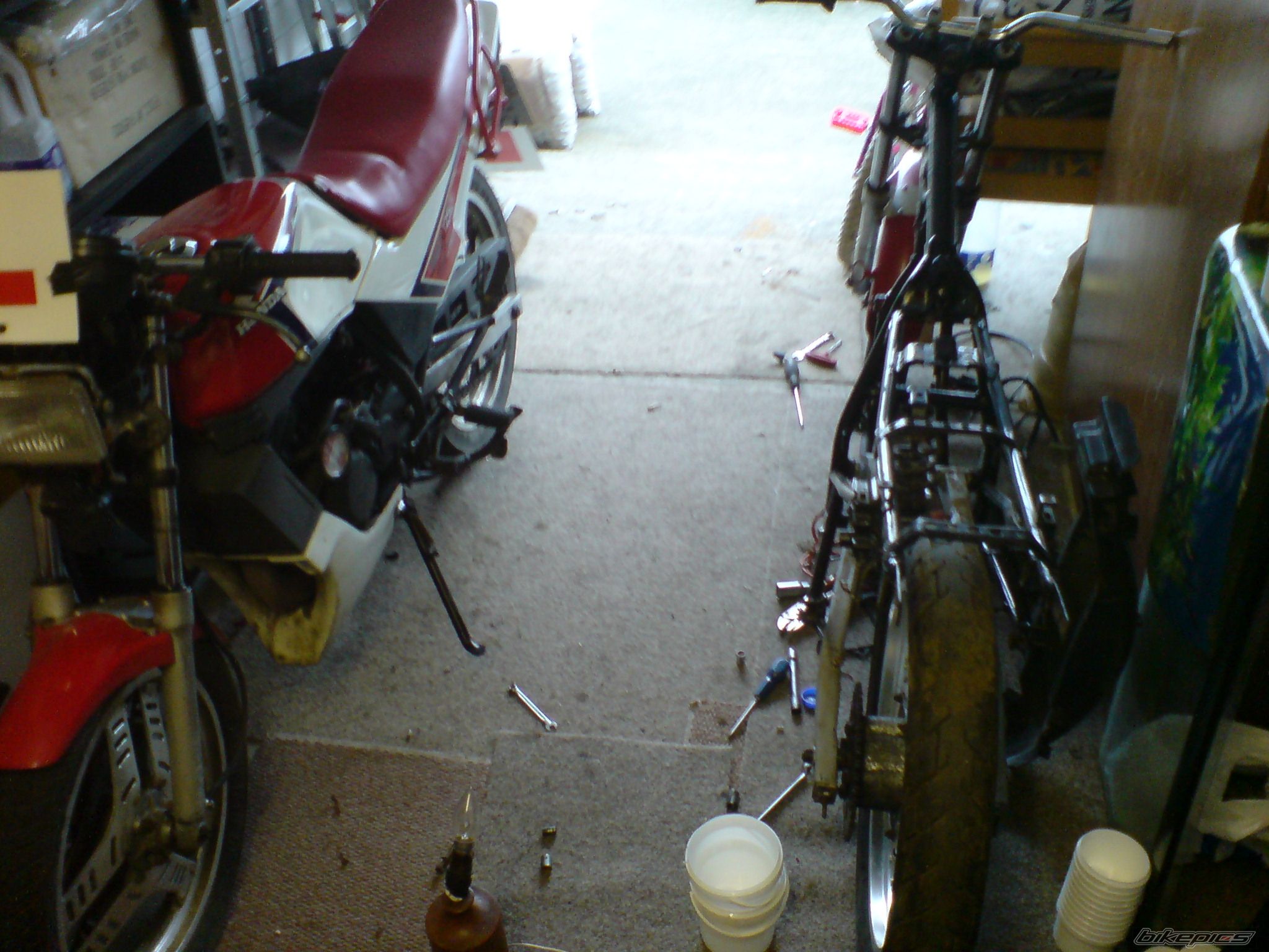 Photo 1260267