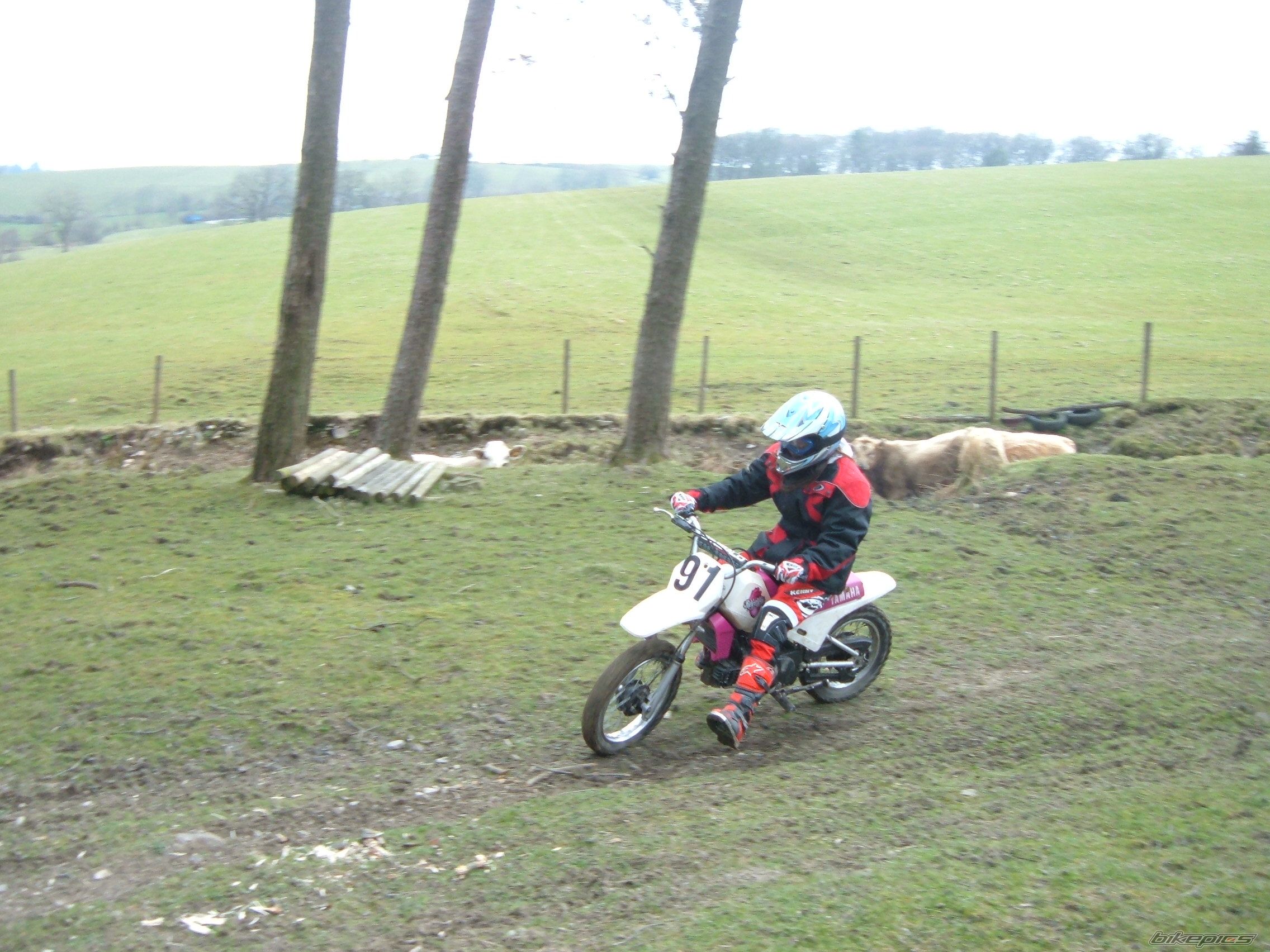 Photo 1260284
