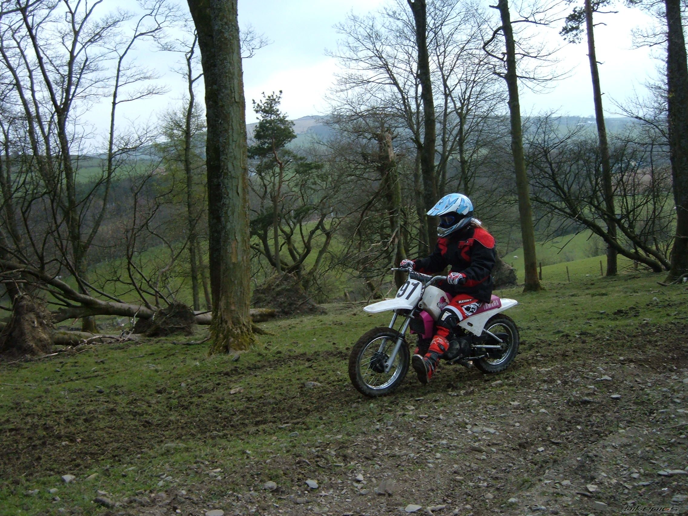 Photo 1260292