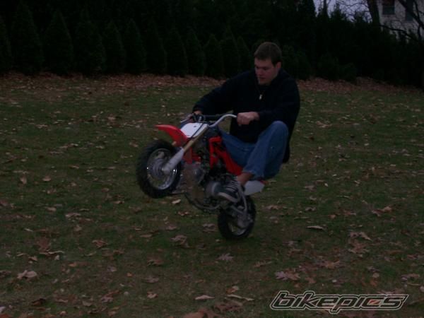 Photo 1260343