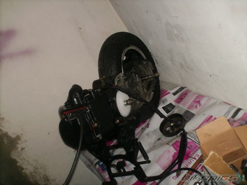 Photo 1260354