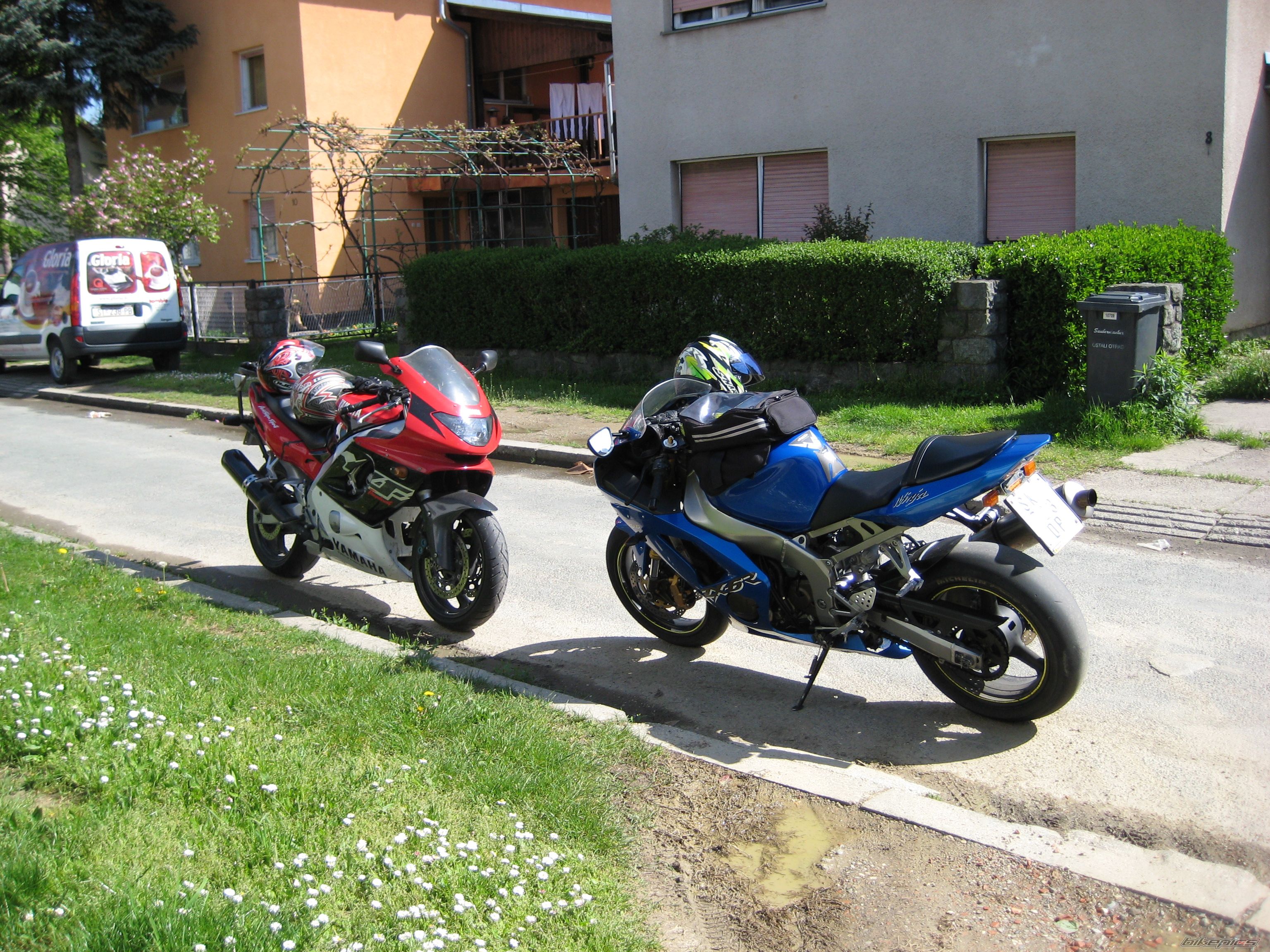 Photo 1260395