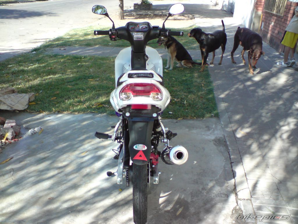 Photo 1260435