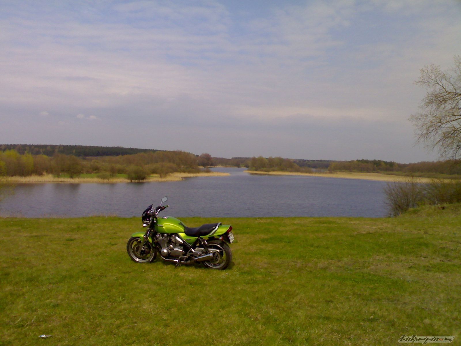 Photo 1260489