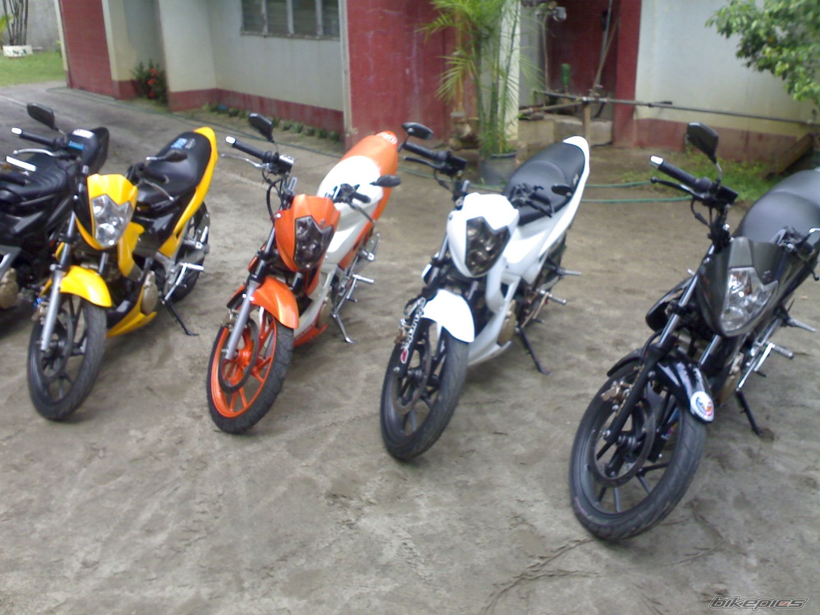 Photo 1260668