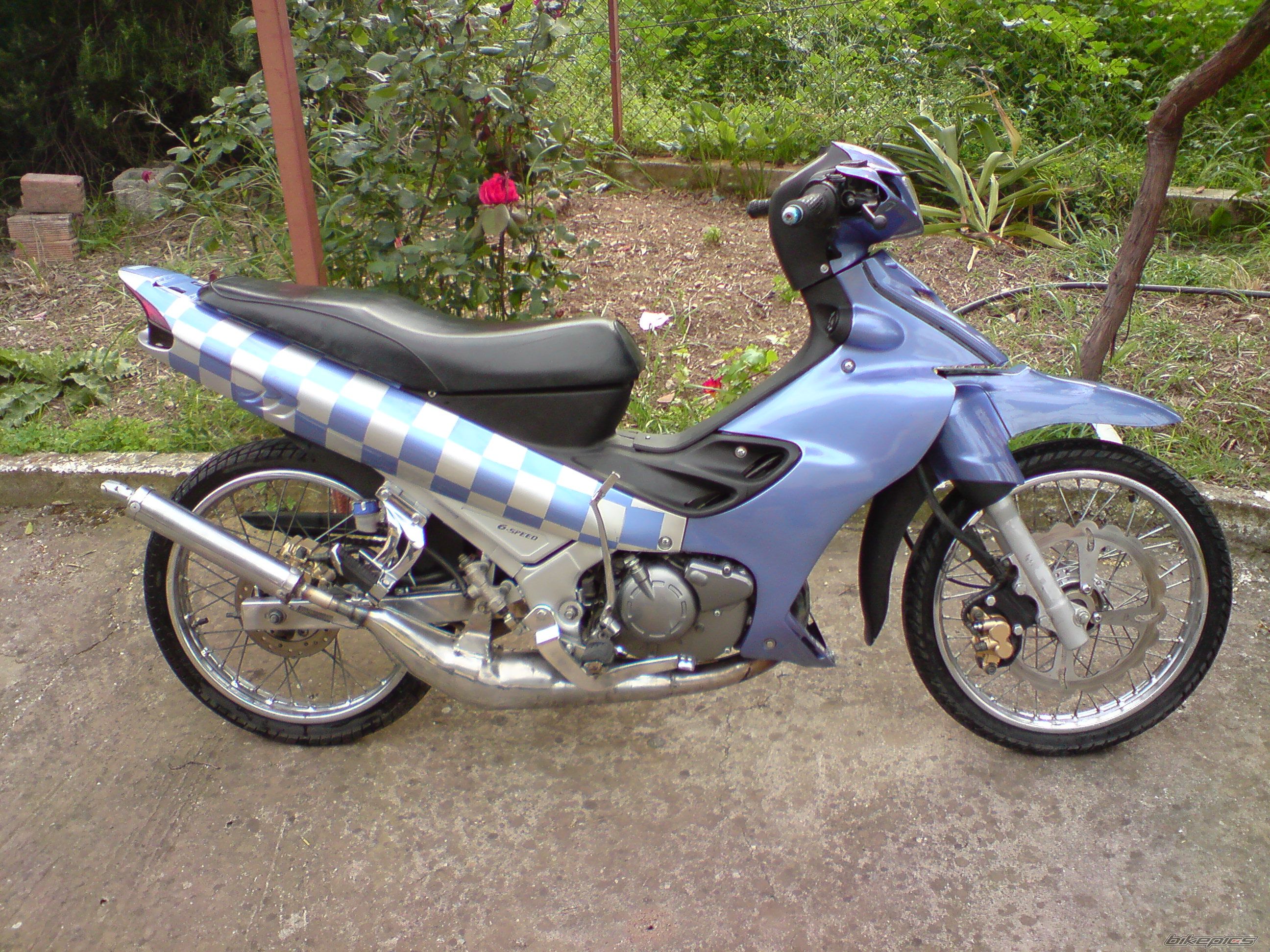 Photo 1260894