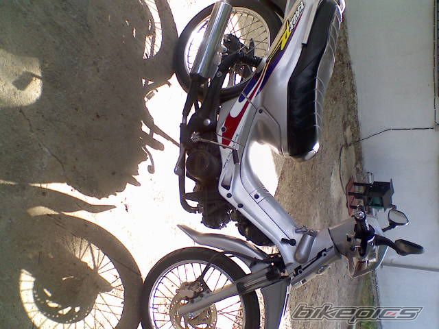 Photo 1260979