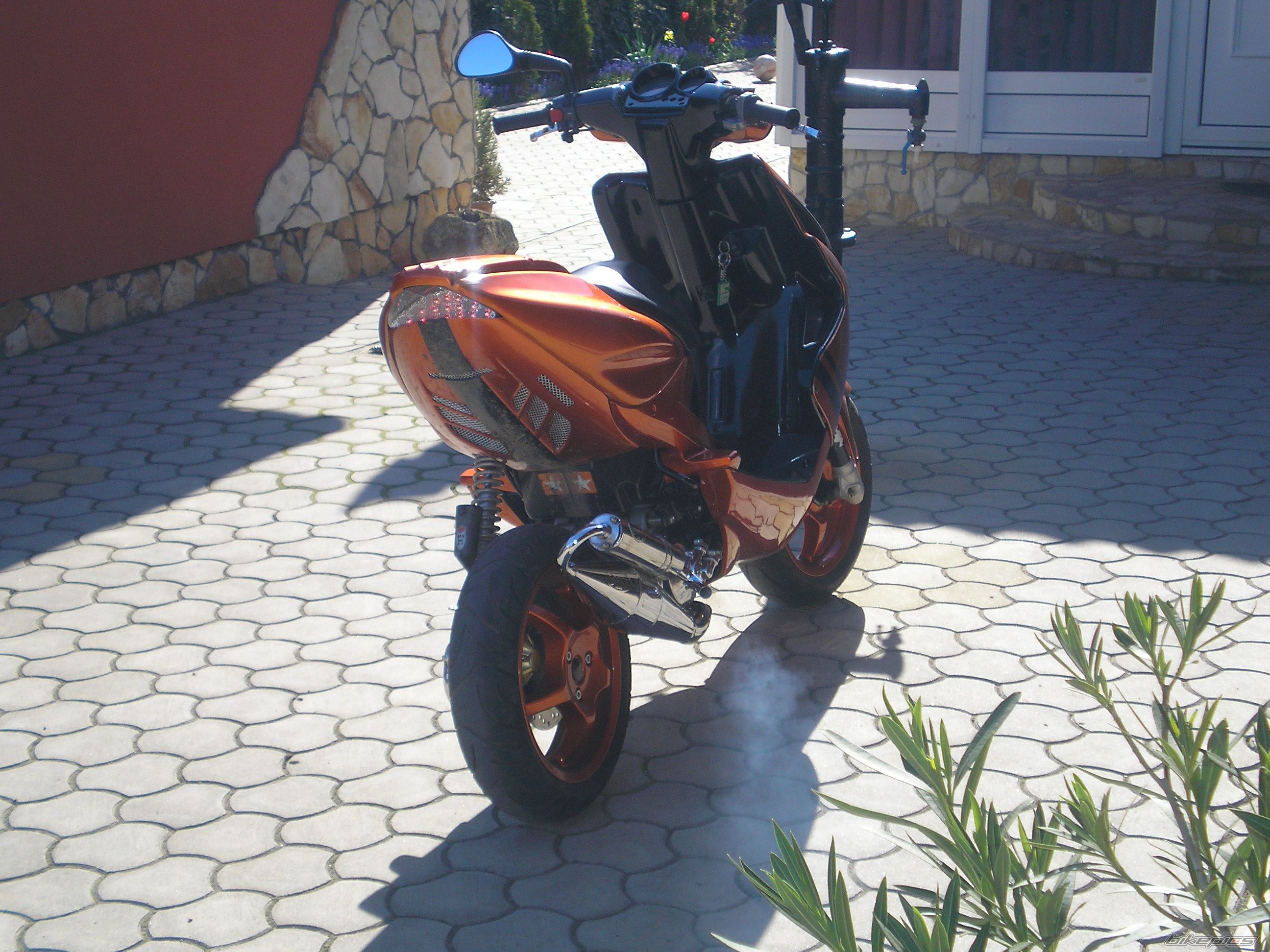 Photo 1261007