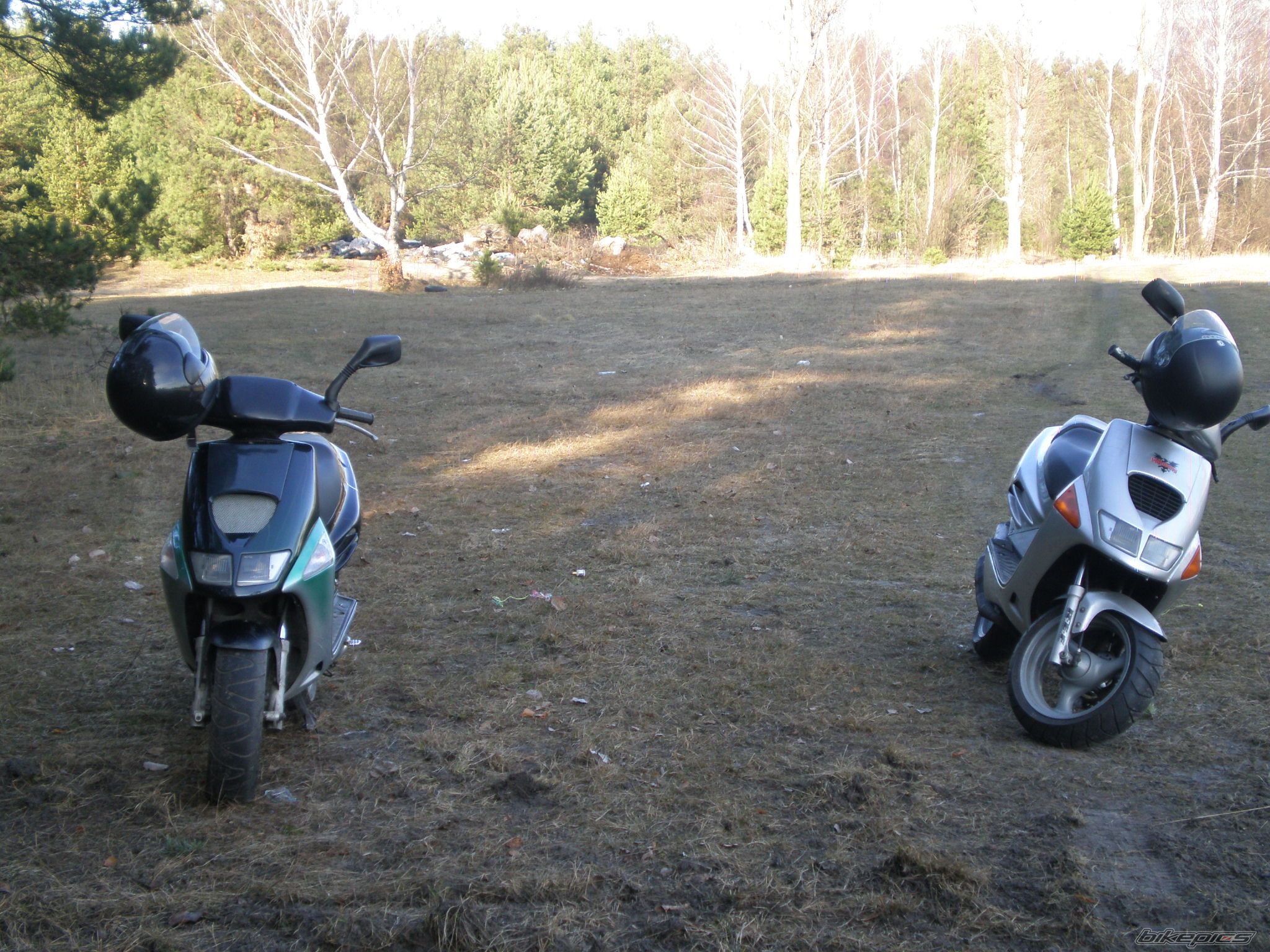 Photo 1261021
