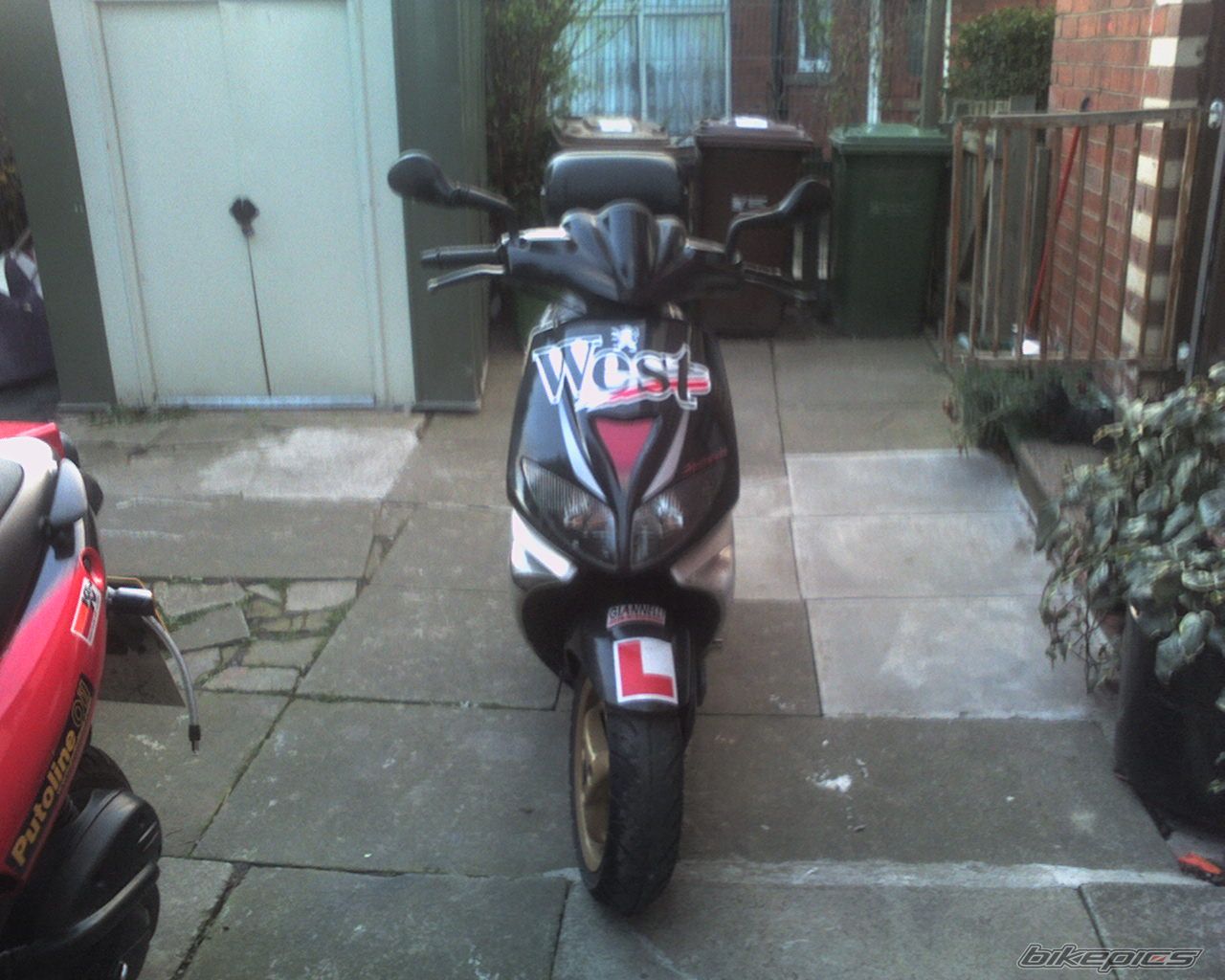 Photo 1261086