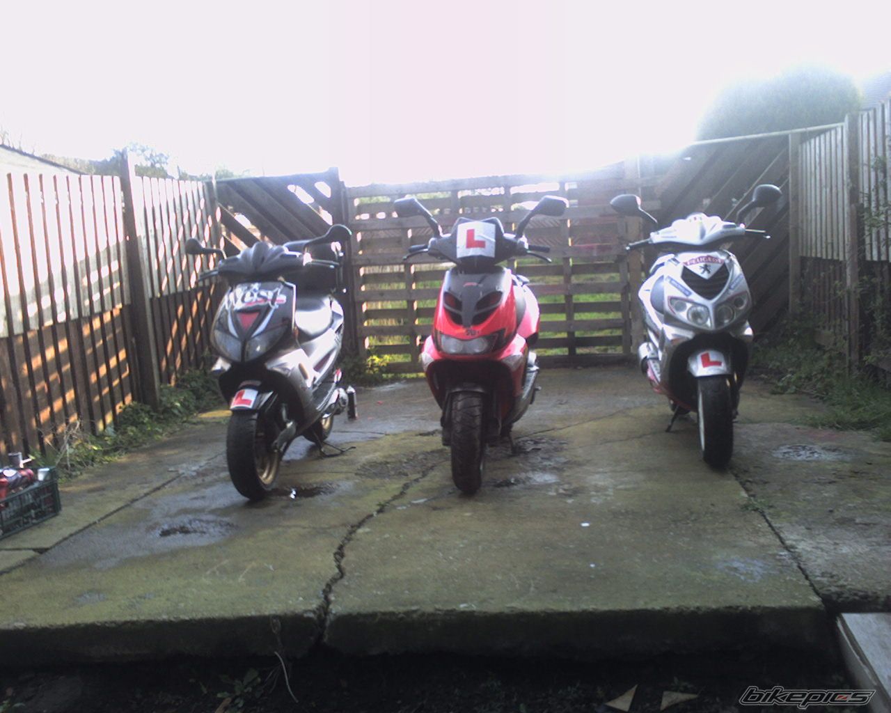 Photo 1261091