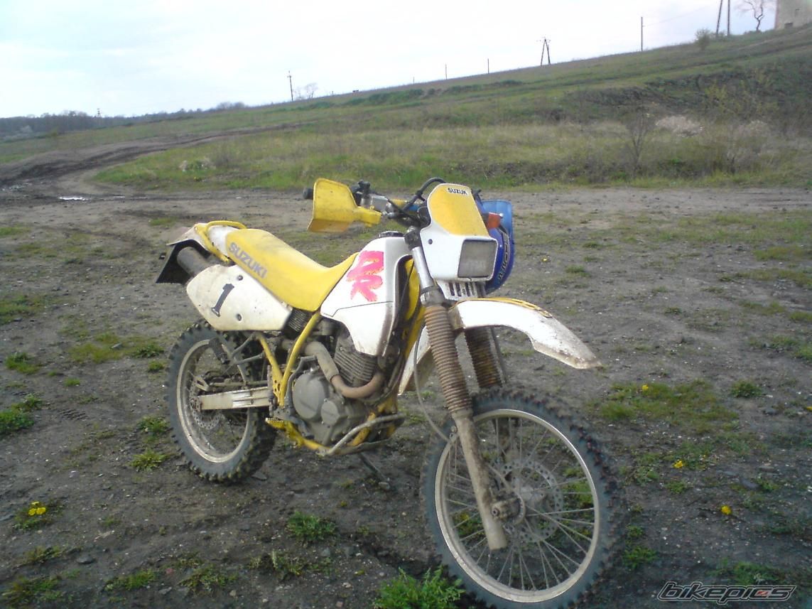 Photo 1261159