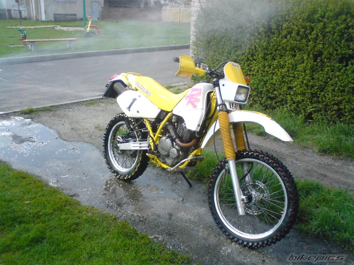 Photo 1261163