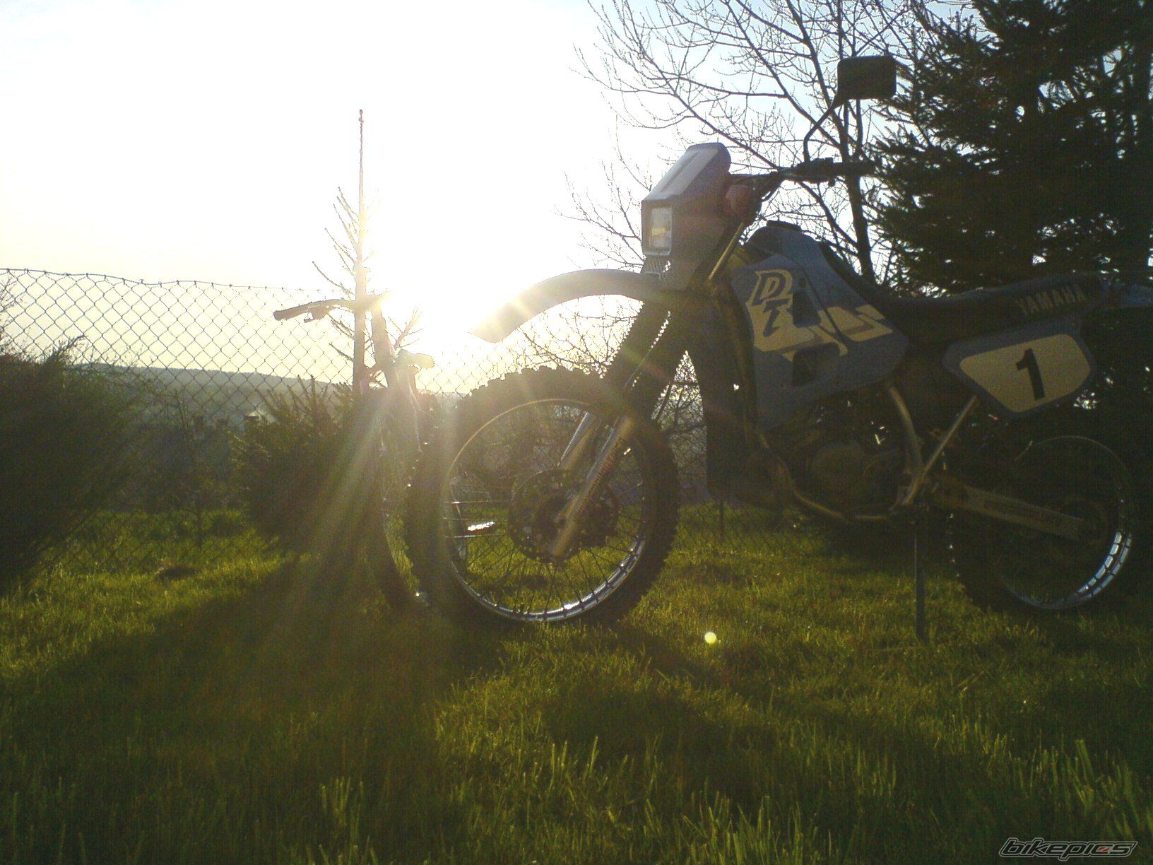 Photo 1261227