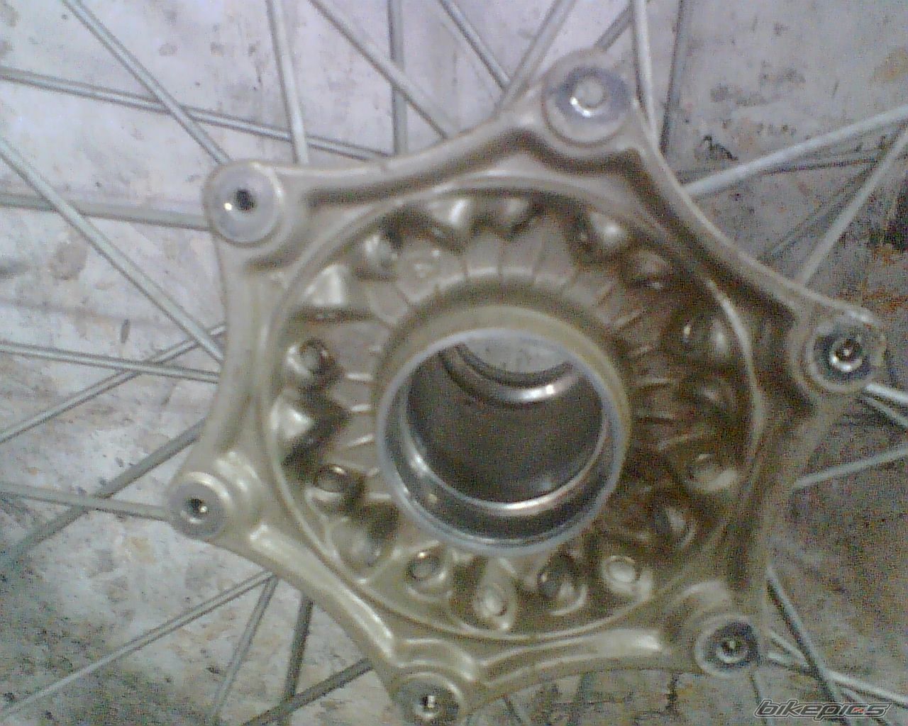 Photo 1261291
