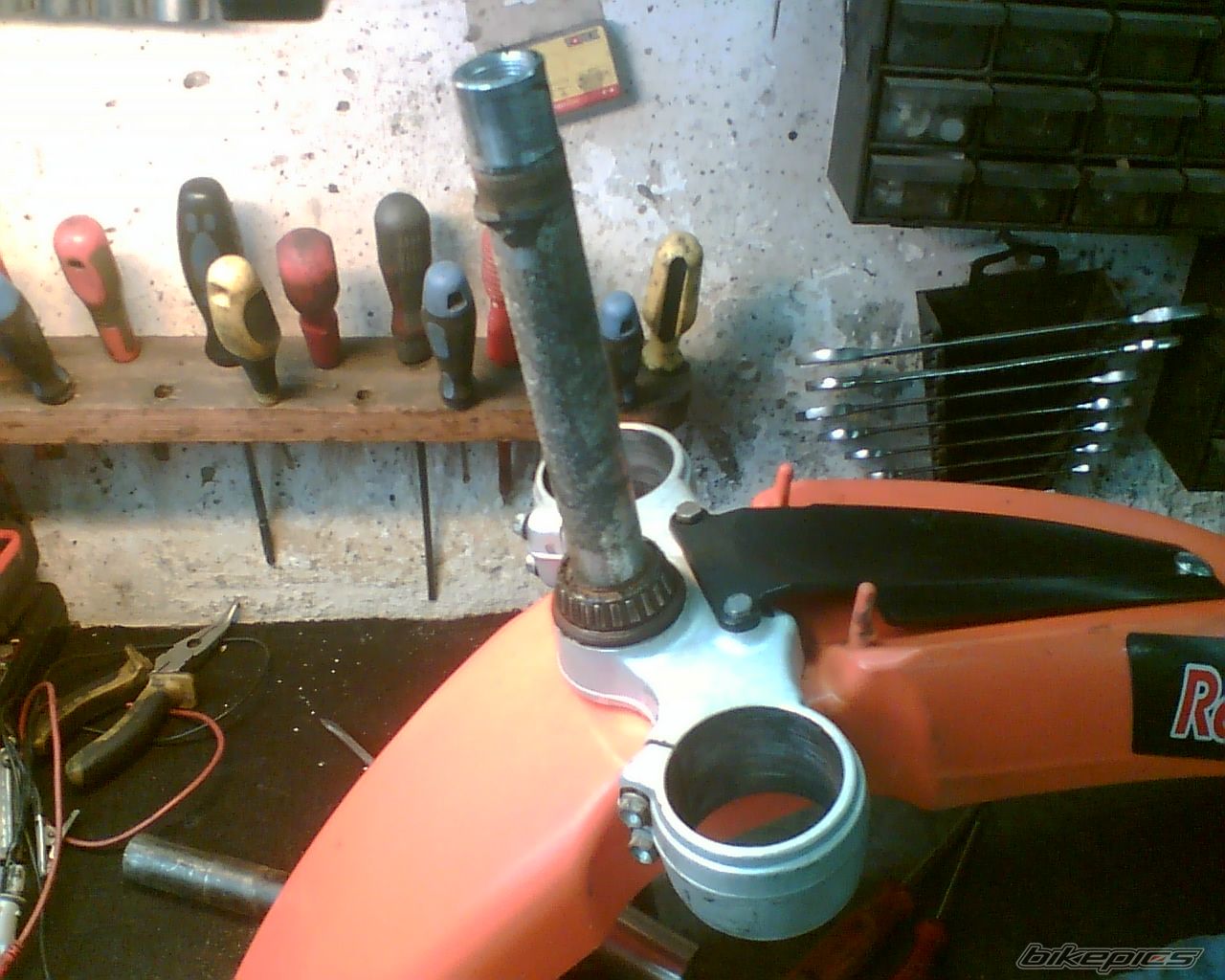 Photo 1261294