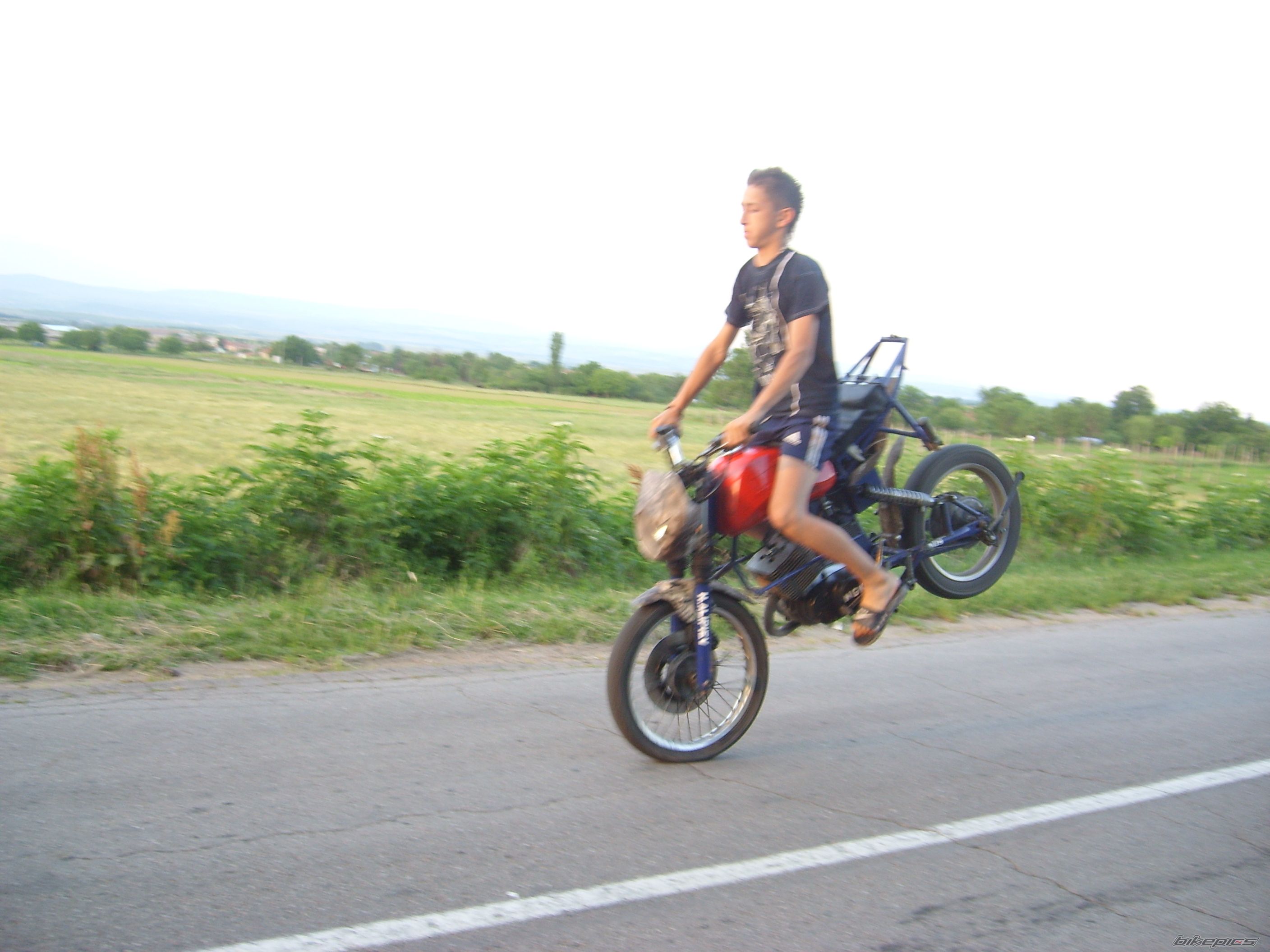 Photo 1261313