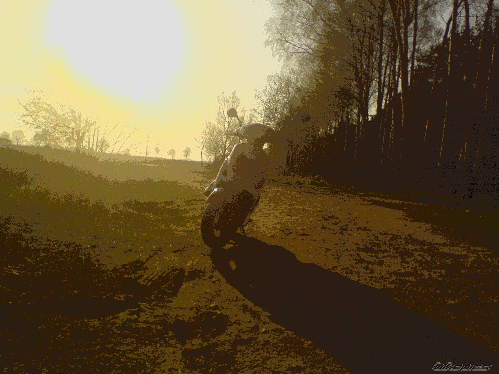 Photo 1261348