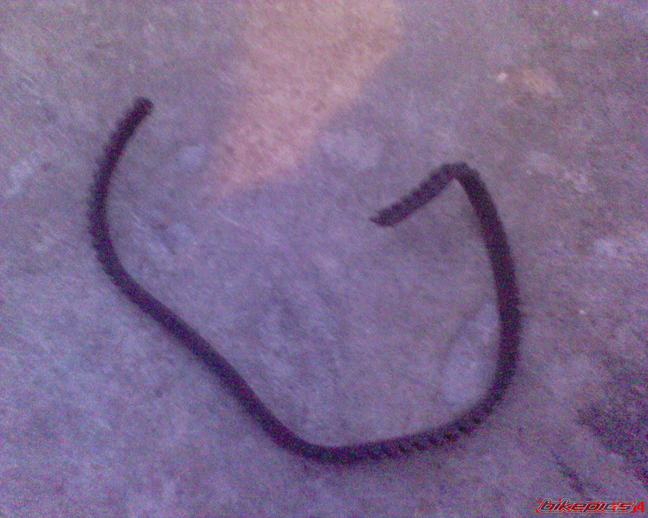 Photo 1261355