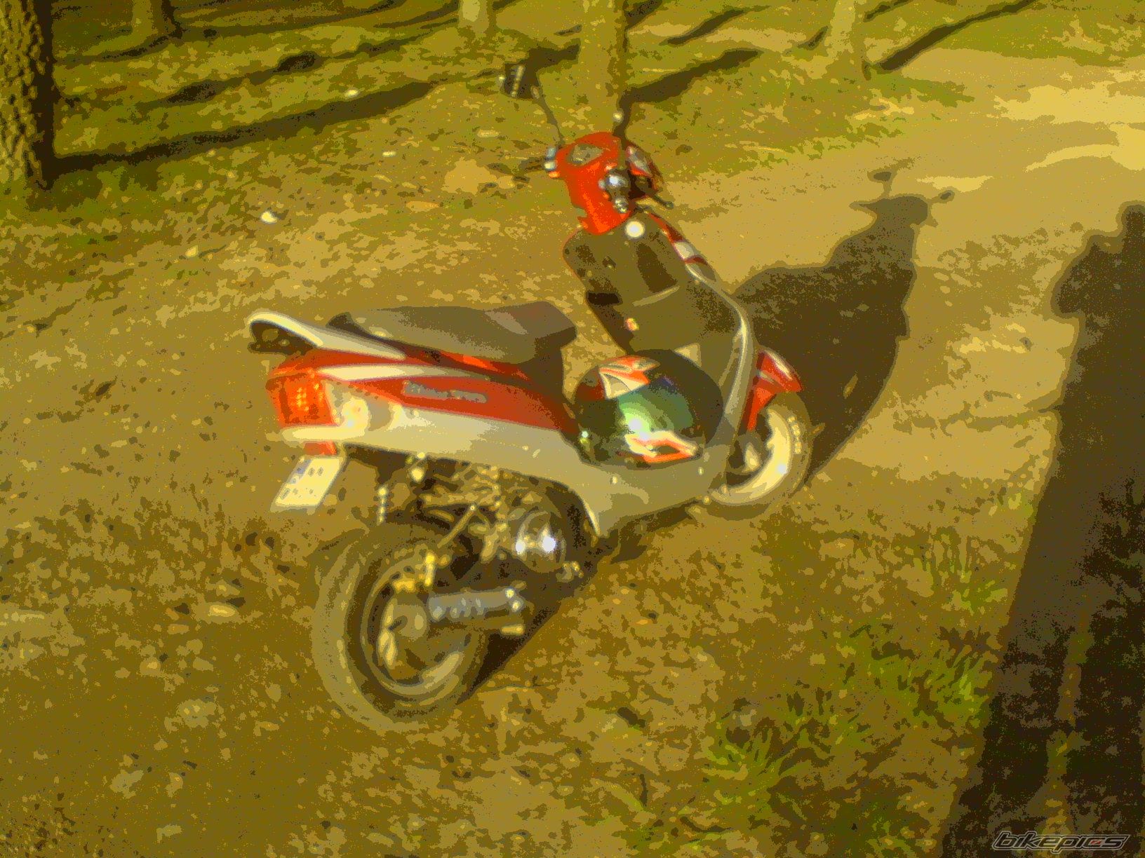Photo 1261356