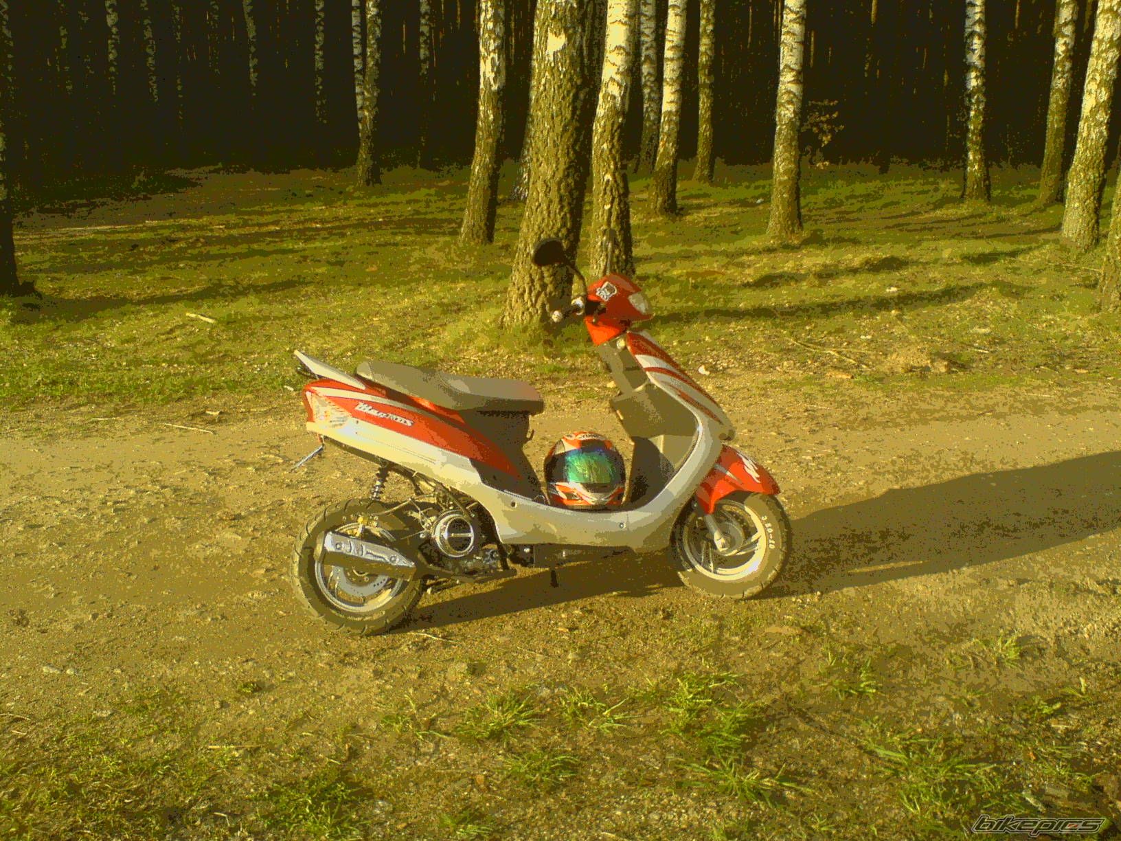 Photo 1261369