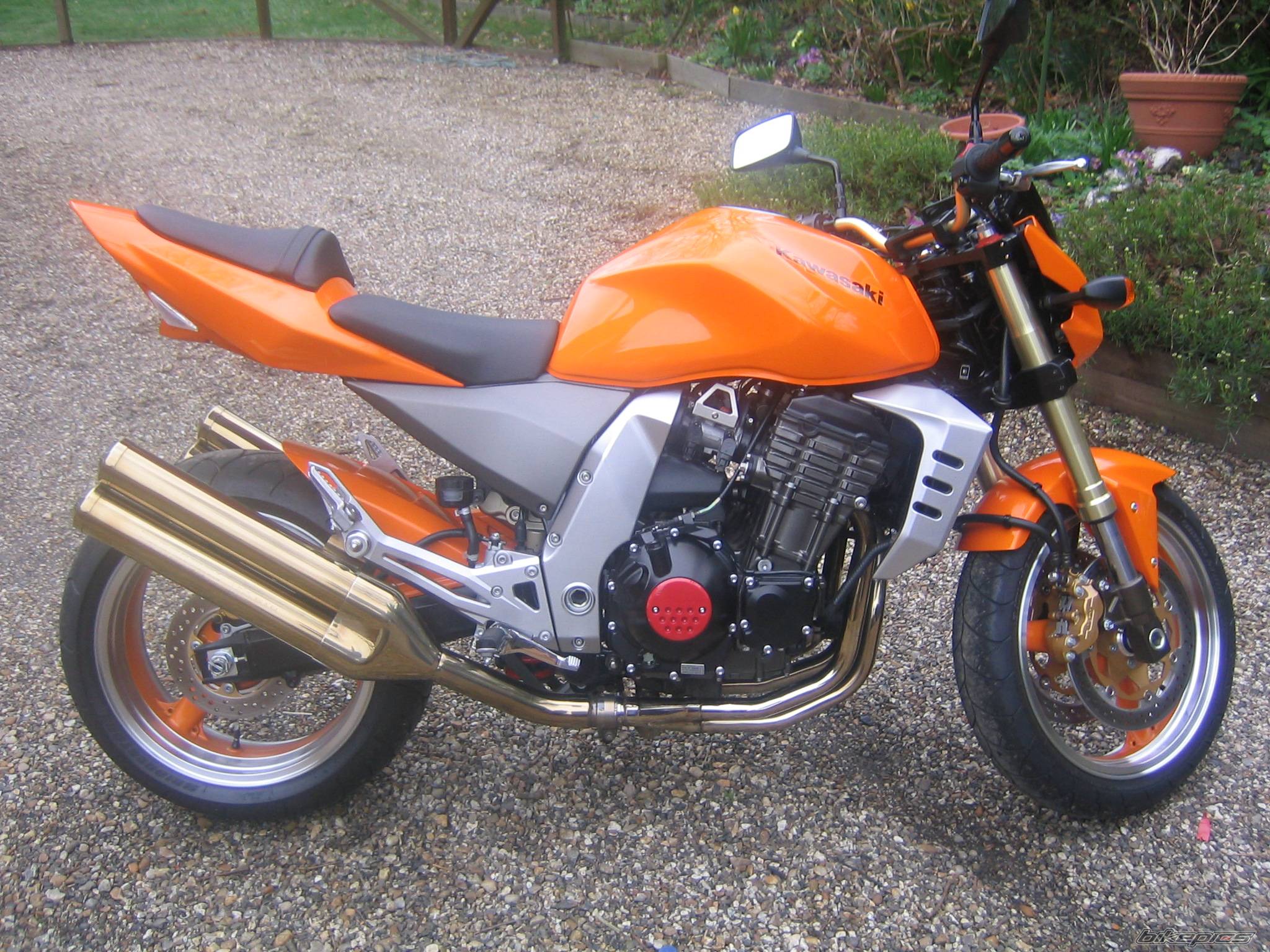 Photo 126140