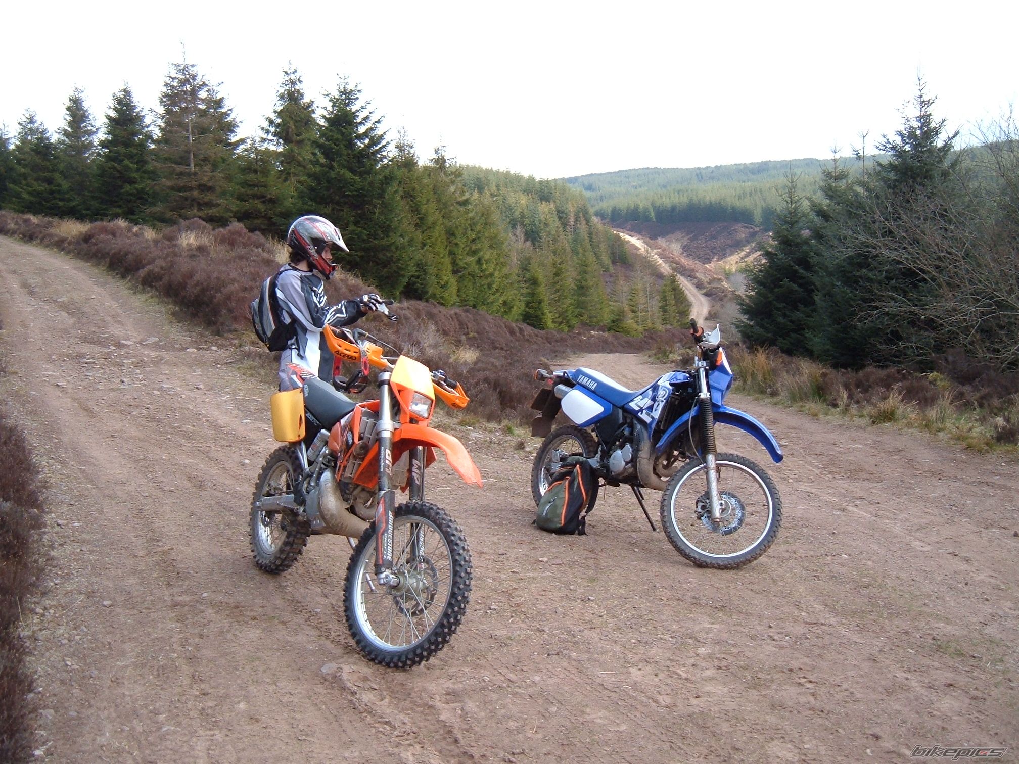Photo 1261530
