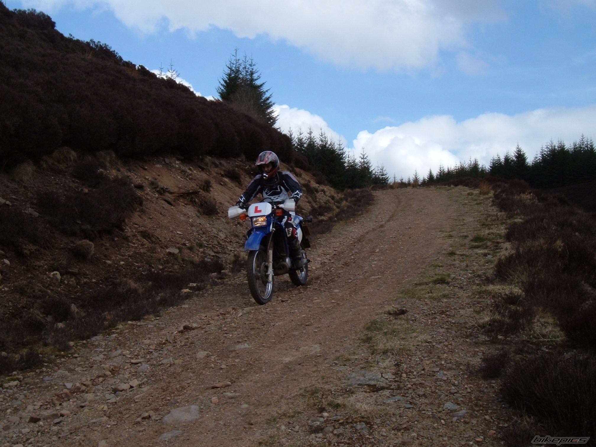 Photo 1261547