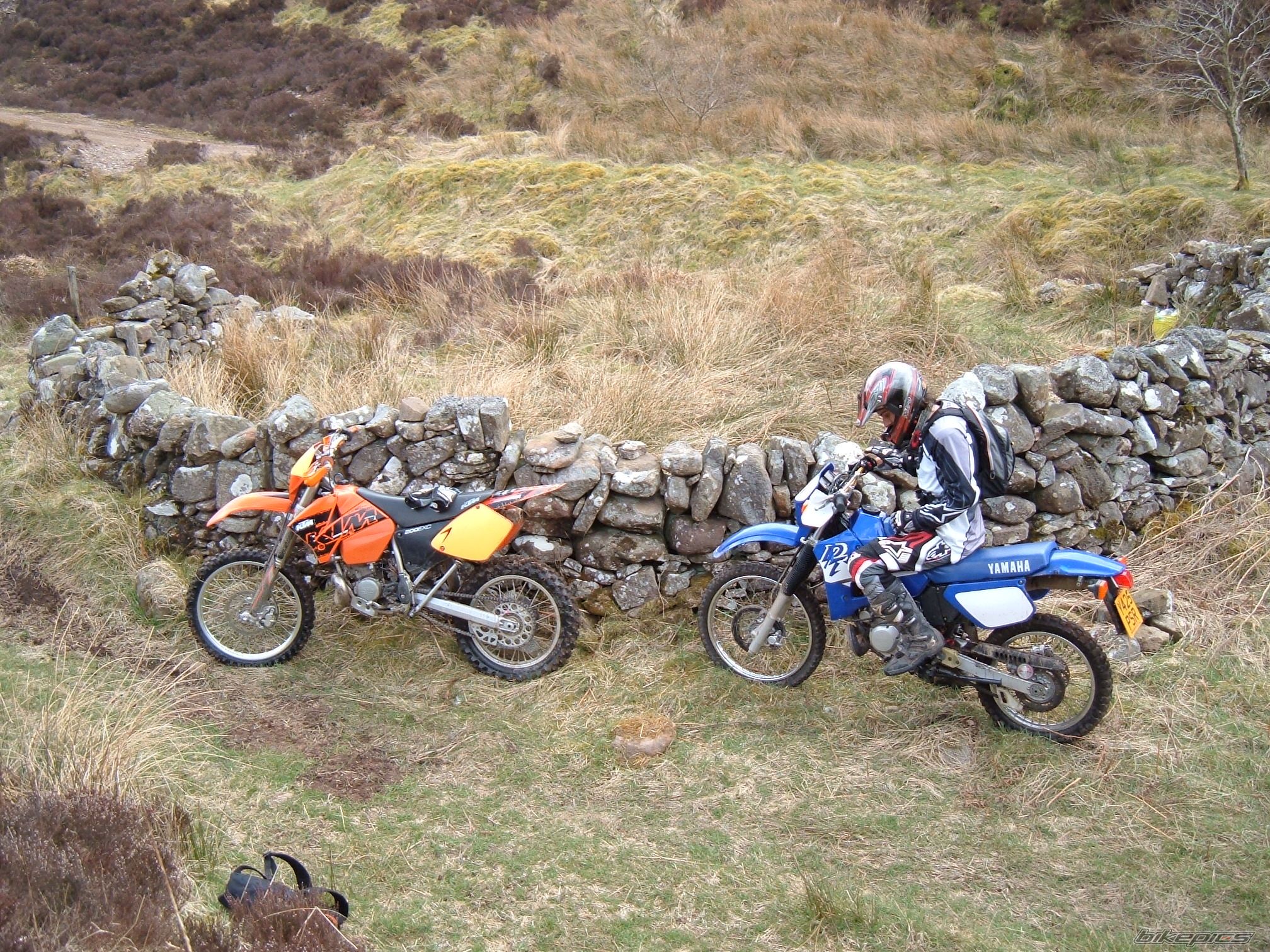 Photo 1261553
