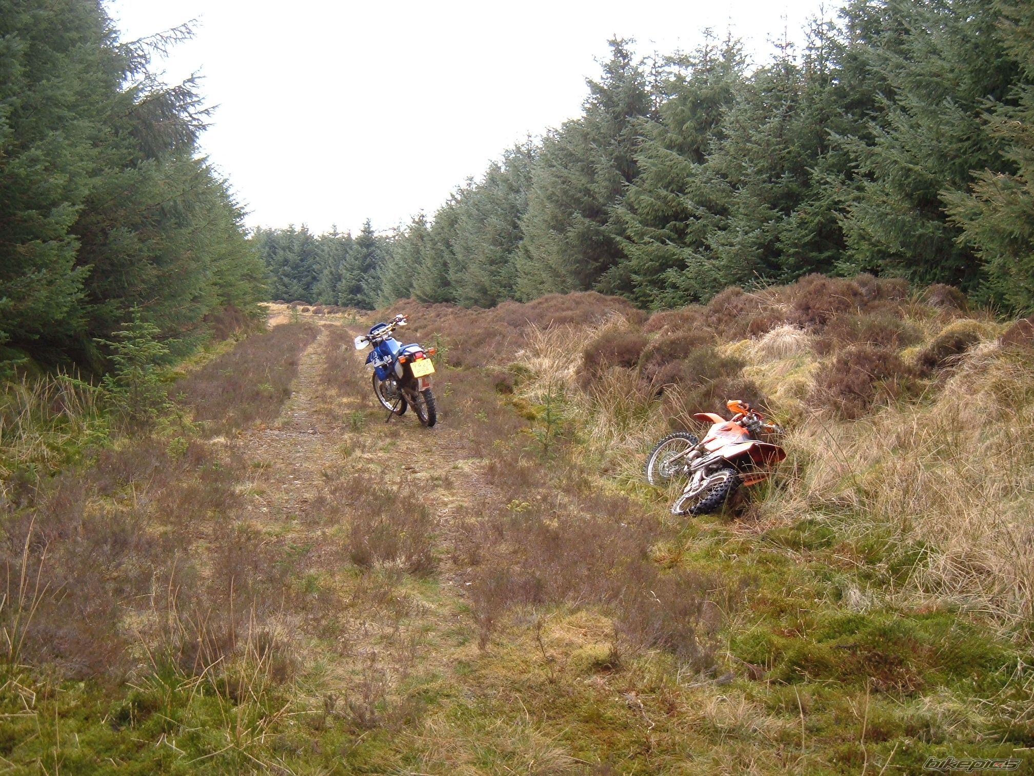 Photo 1261562