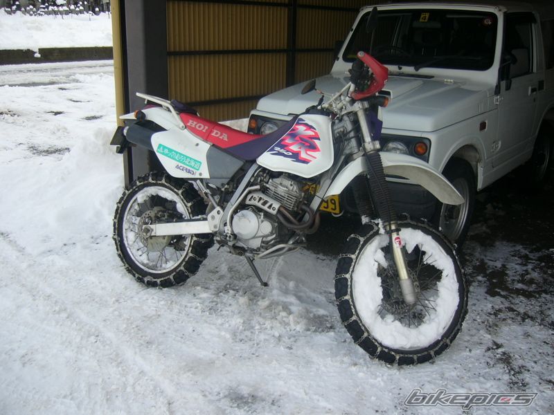 Photo 1261567