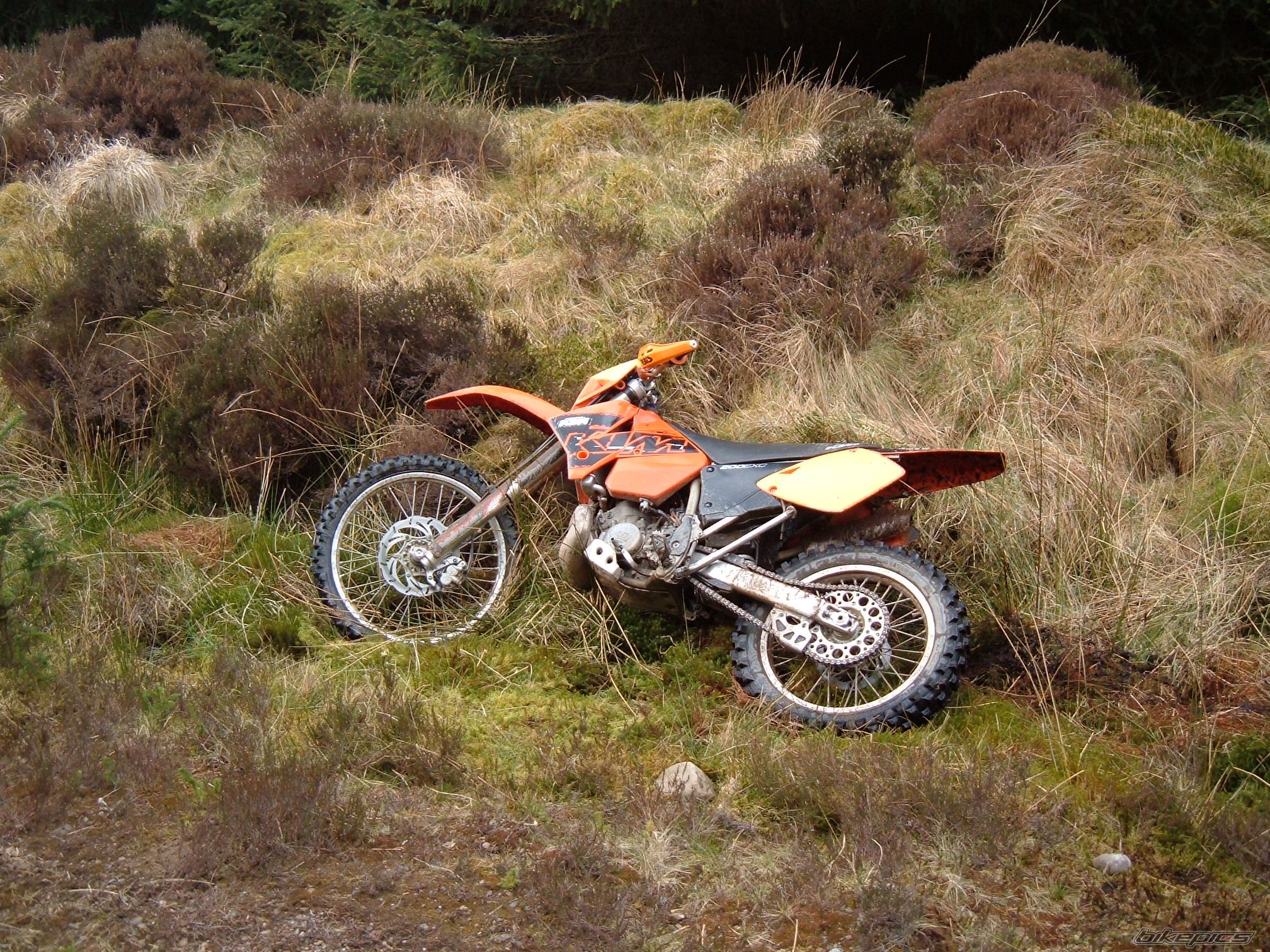 Photo 1261569