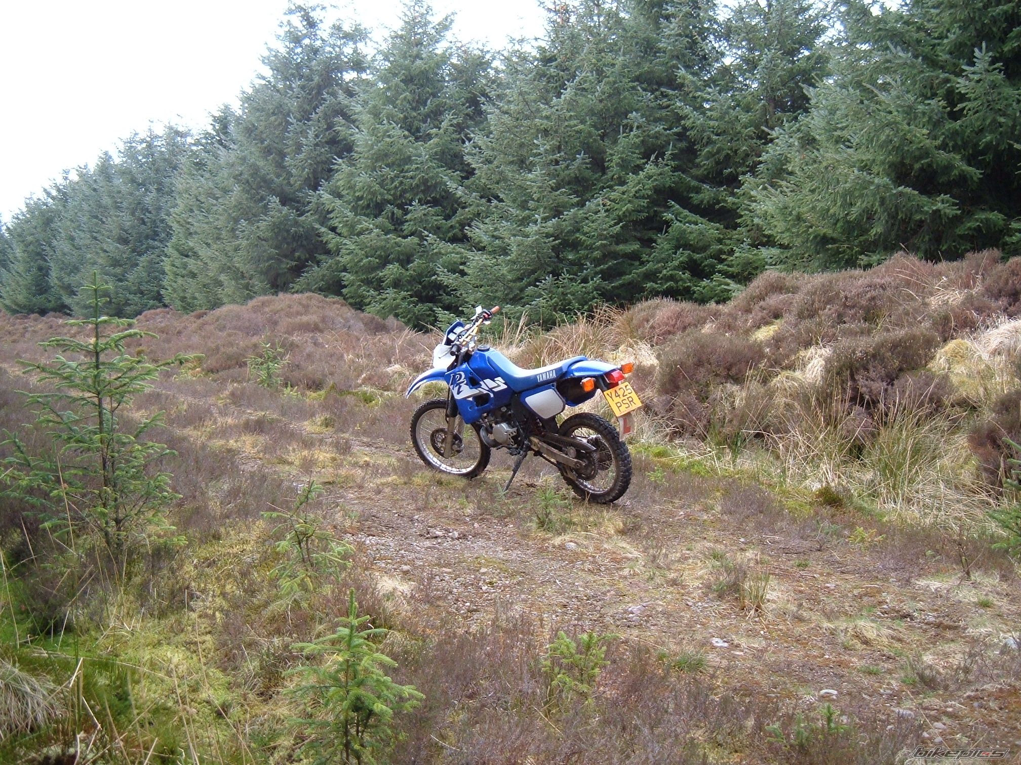 Photo 1261572