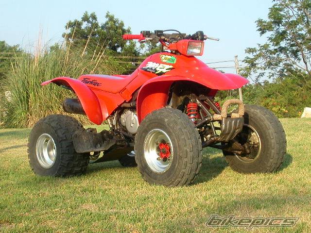 Photo 126162