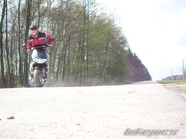 Photo 1261648