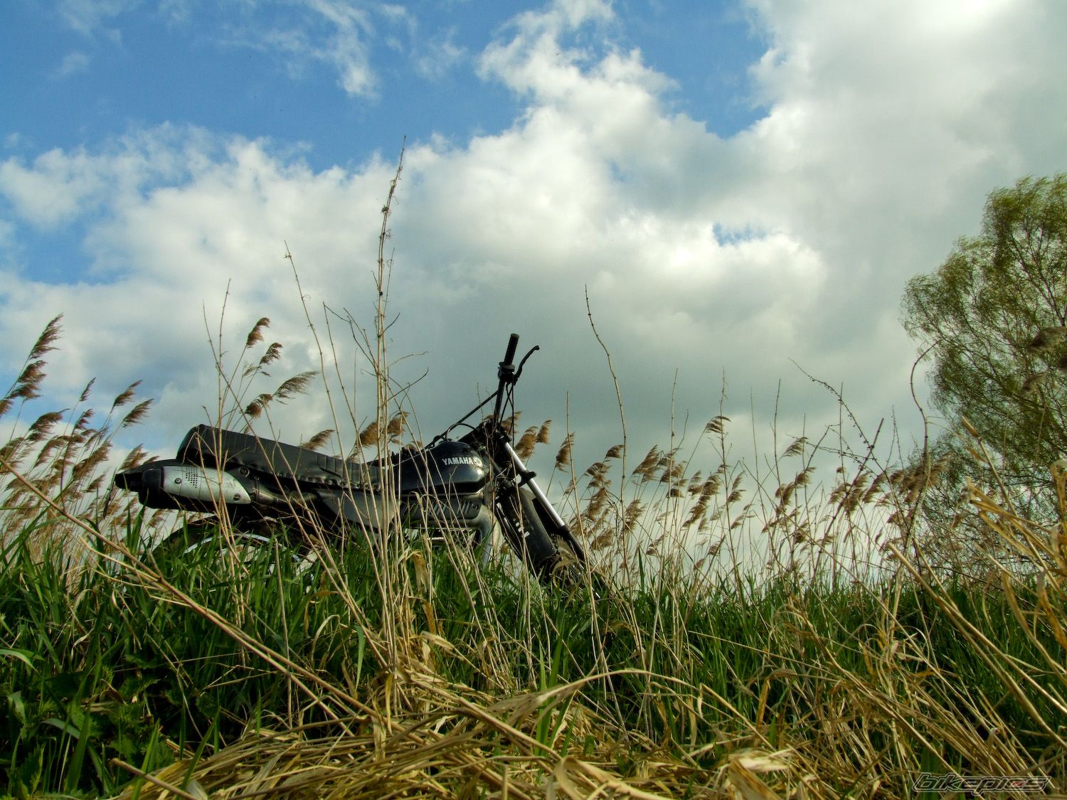 Photo 1261697