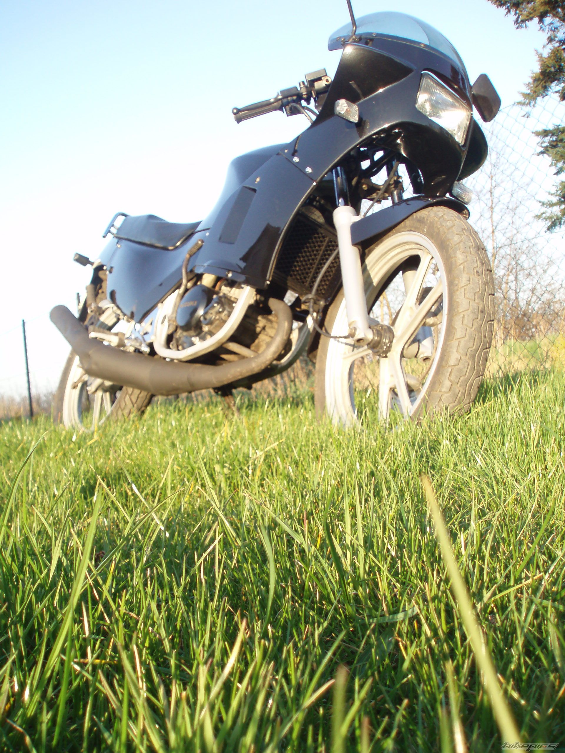 Photo 1261724